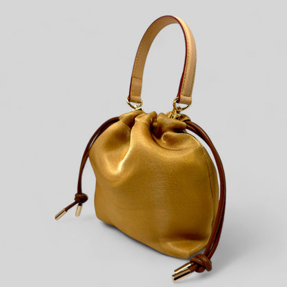 Gold Organza Bag