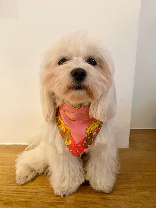 Pretty Pooch 7