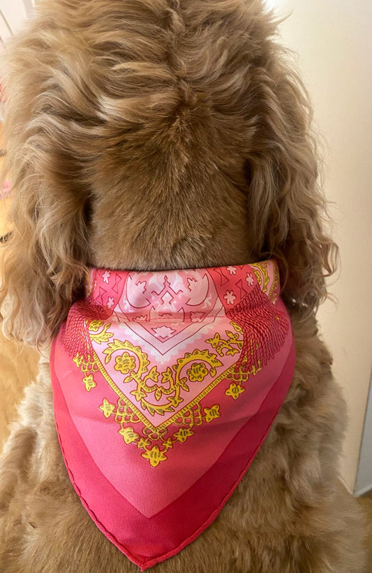 Pretty Pooch 8