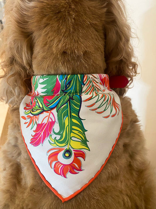 Pretty Pooch 7